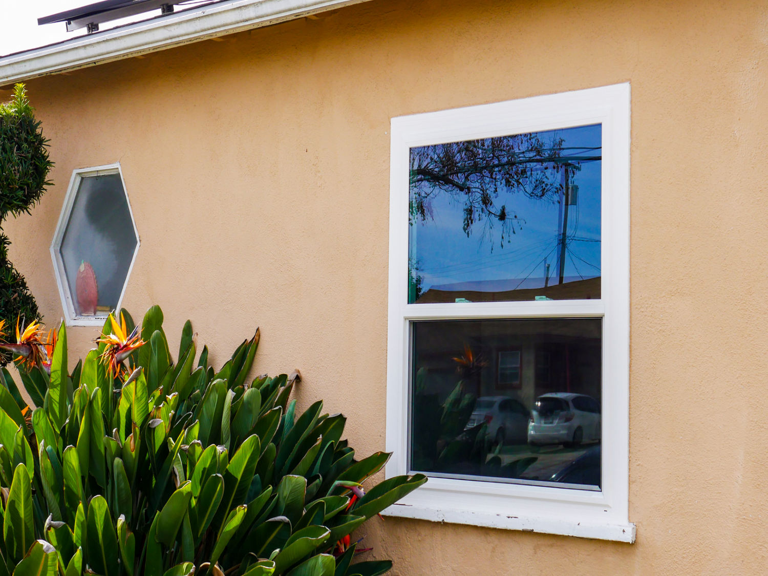 vinyl windows Whittier after