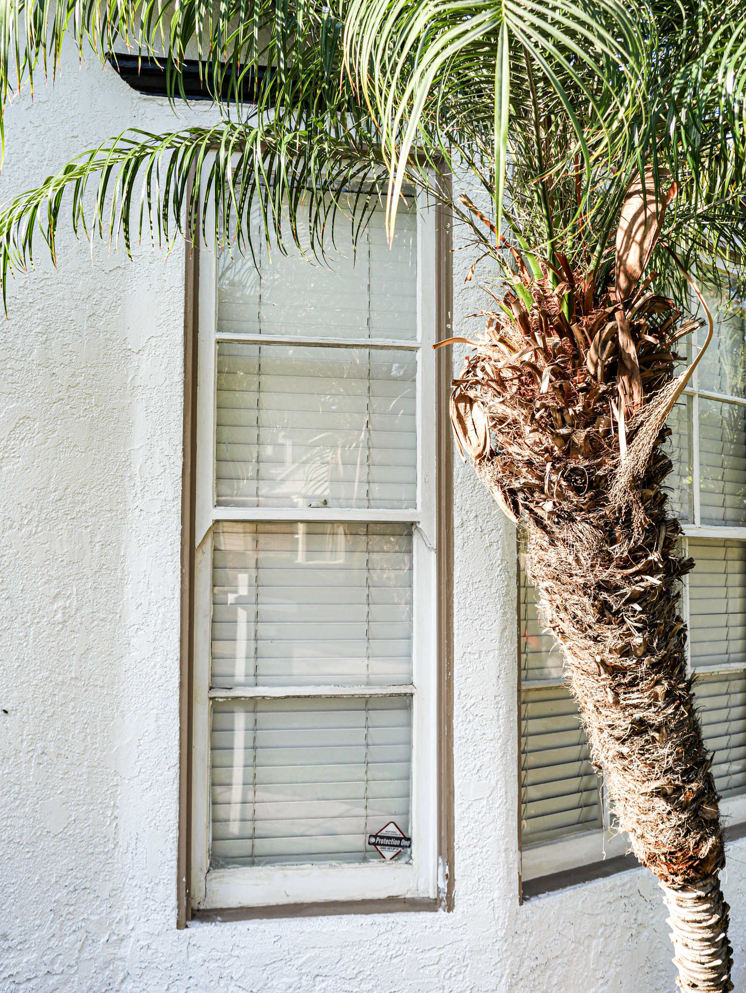 inglewoodnewwindows 4(1)