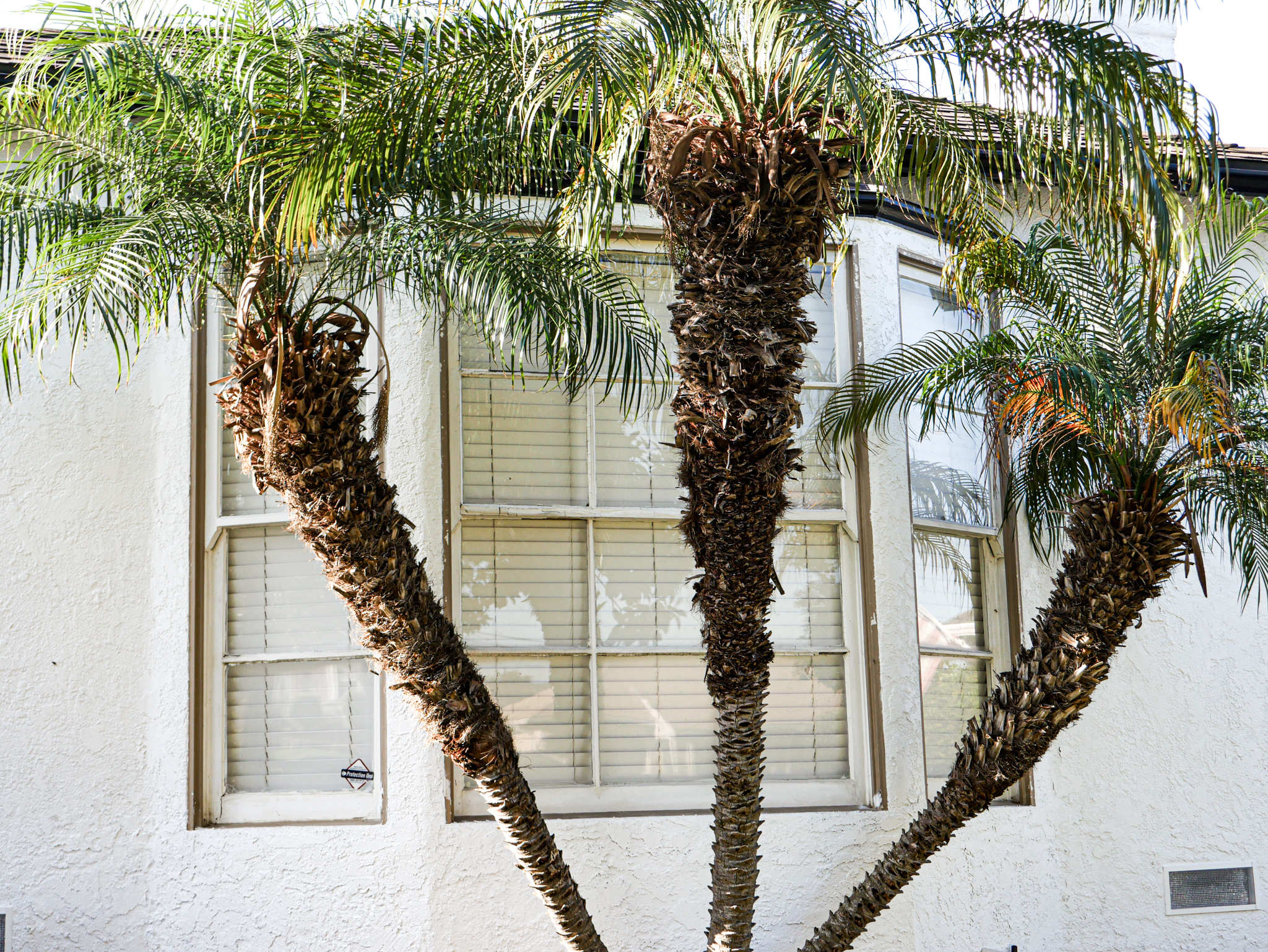 inglewoodnewwindows 5(1)