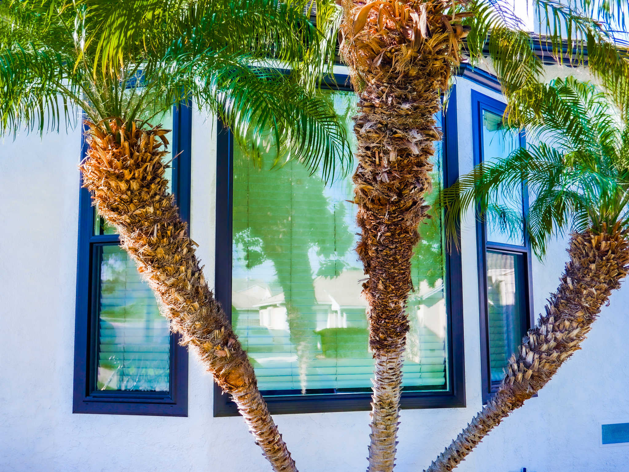 inglewoodnewwindows 5(2)