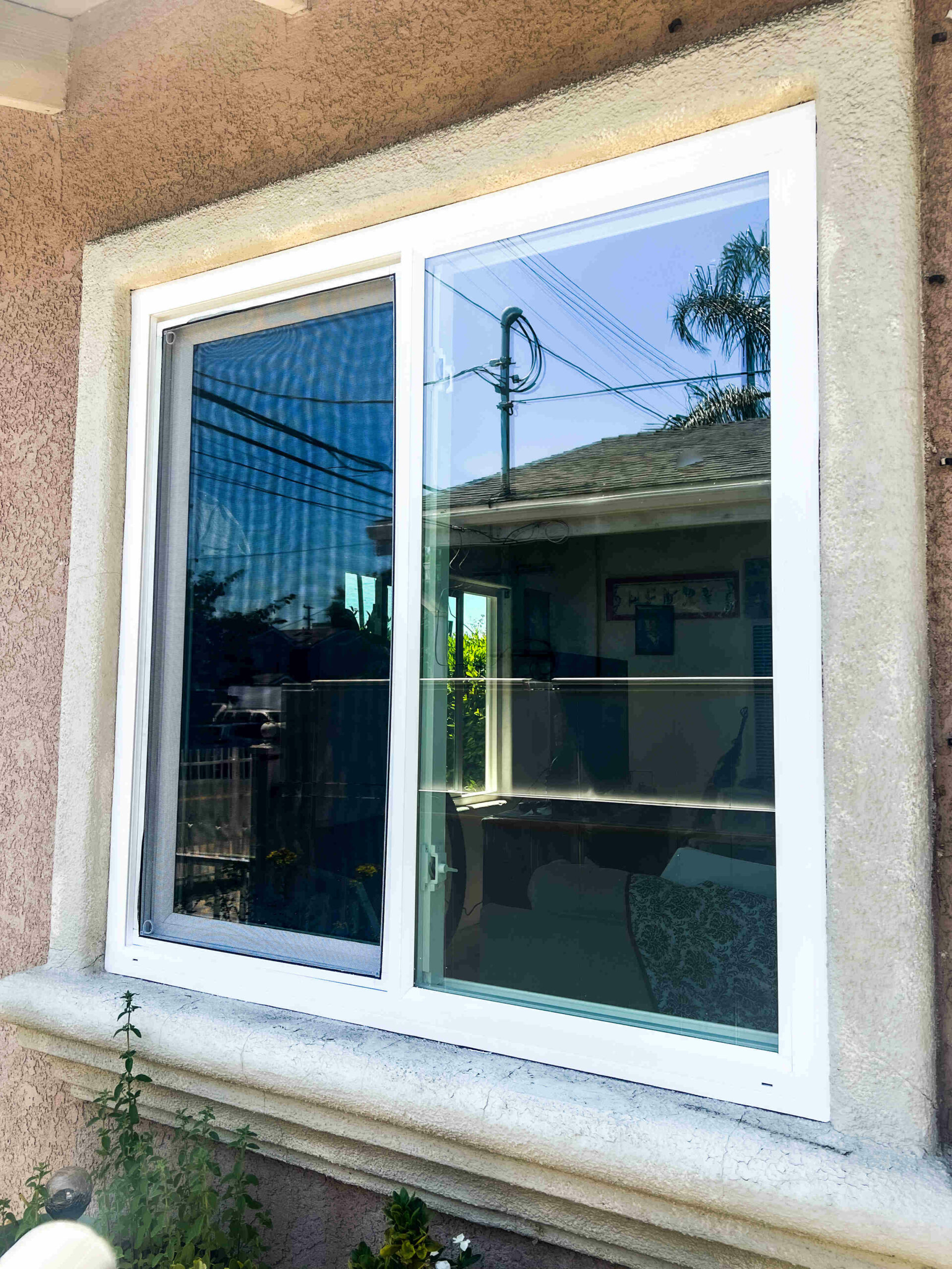 losangelesnewwindows 3 (2)