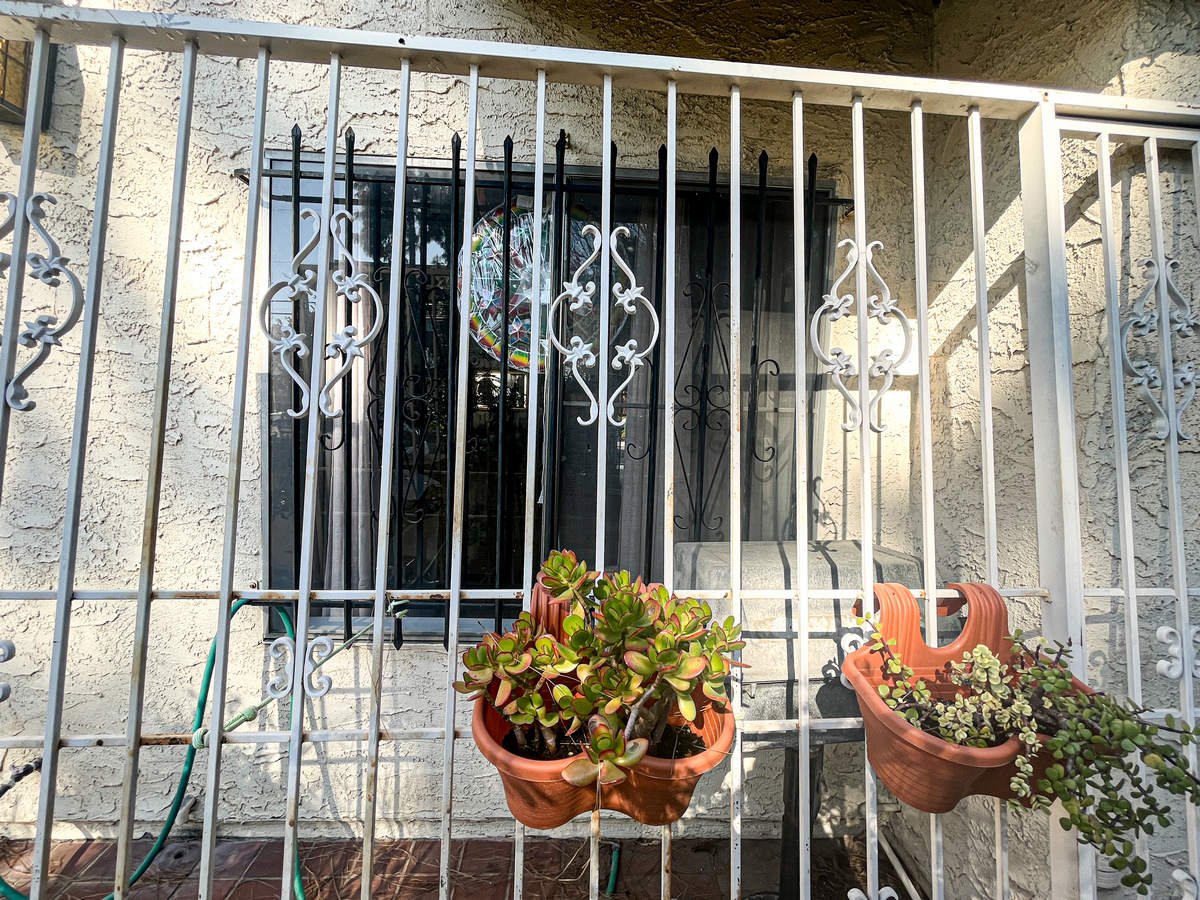 old window