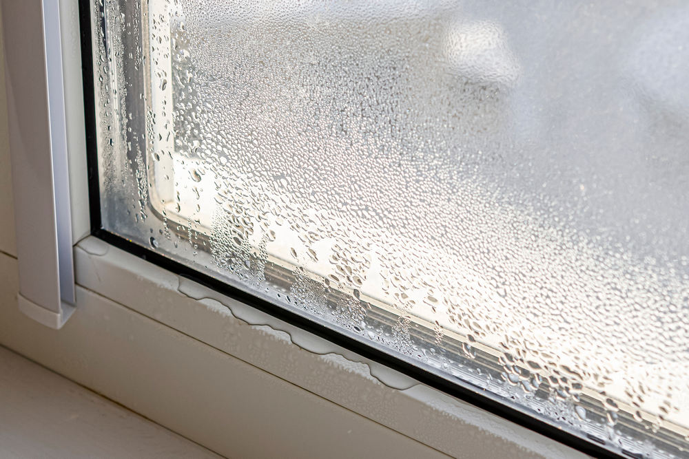 Don't Ignore These Warning Signals for Window Replacement